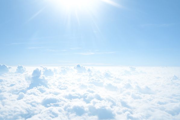 Авиабилеты Толмачево Роберт Луэллин Брадшоу